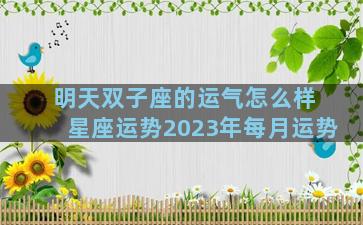 明天双子座的运气怎么样 星座运势2023年每月运势